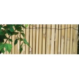 NOHEL GARDEN mata trzcinowa 1 x 5 m
