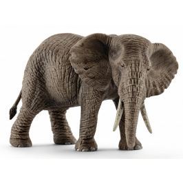 Schleich Samica słonia afrykańskiego