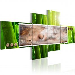 Obraz - Abstrakcja i bambus (100x46 cm)