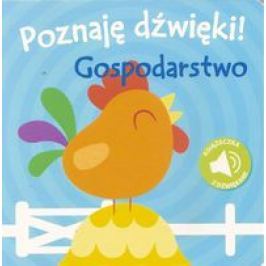 Książka